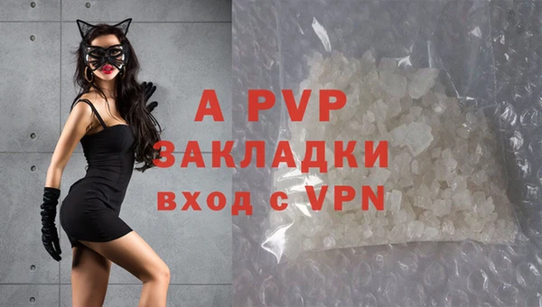мяу мяу мука Богданович