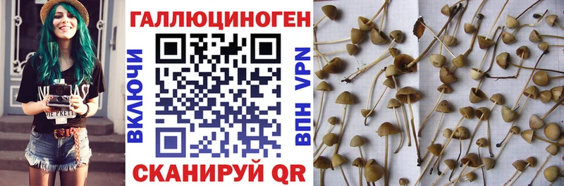 Купить закладки  Руза  Псилоцибиновые грибы прущие грибы 